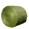 Green Round Alfalfa Hay Bales