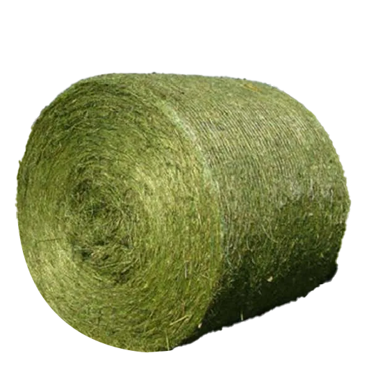 Green Round Alfalfa Hay Bales