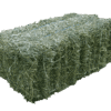 Green Square Alfalfa Hay Bales