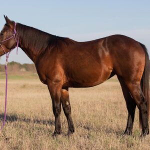 Seraphina – The Gentle Flame