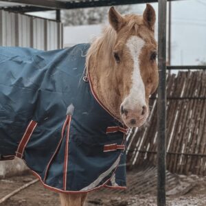 Aurora – The Gentle Star